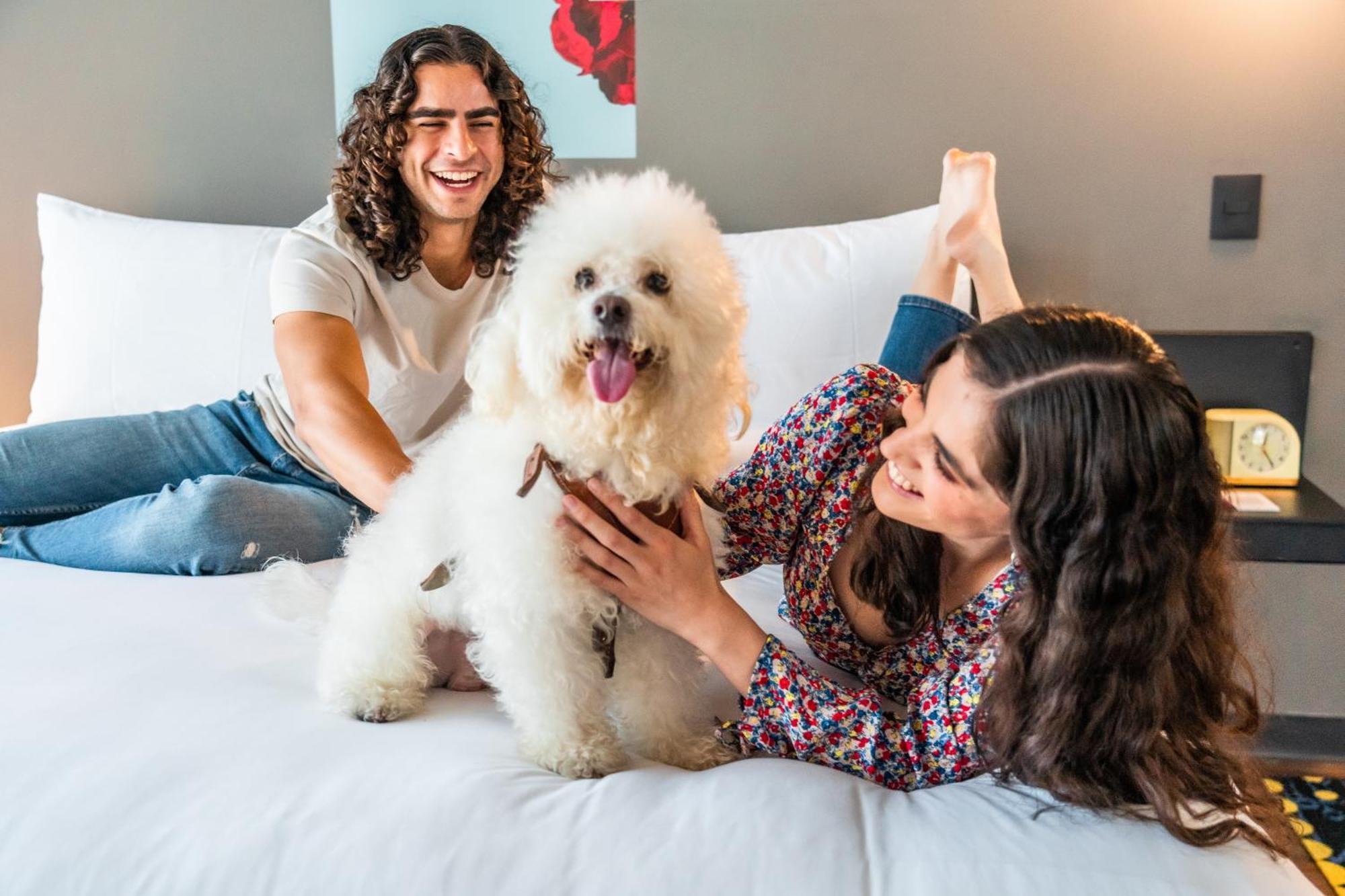 Aloft Guadalajara Sur Otel Santa Anita  Dış mekan fotoğraf