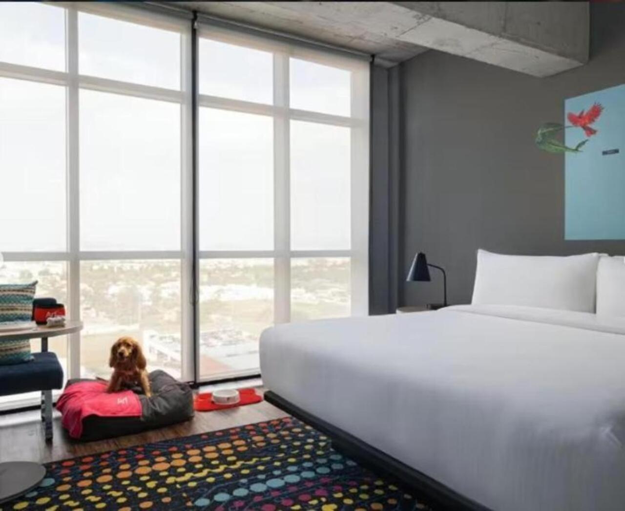 Aloft Guadalajara Sur Otel Santa Anita  Dış mekan fotoğraf